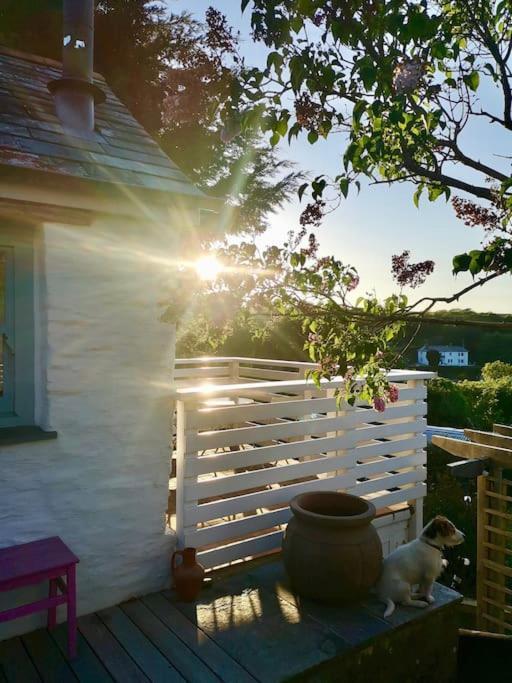 The Little Post House. A Perfect Village Retreat, With Stunning Views. Boscastle Esterno foto